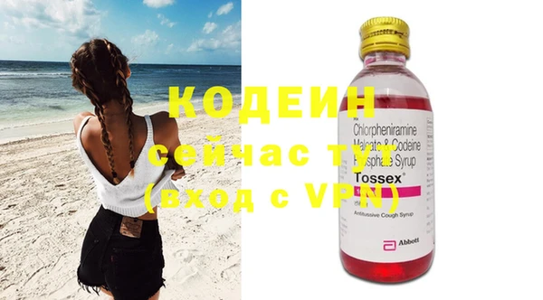 шишки Сатка