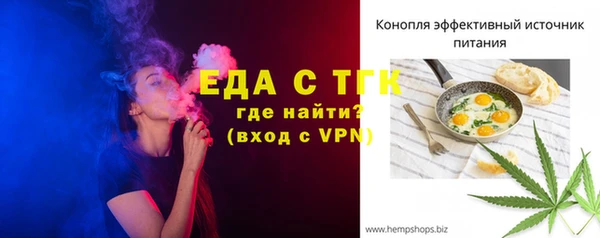 шишки Сатка