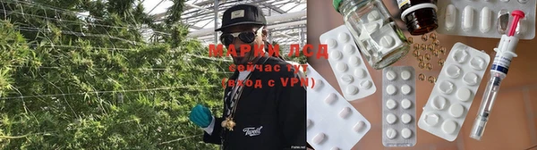 МДПВ Алзамай