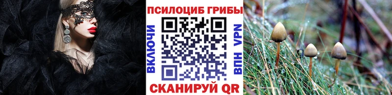 мориарти Telegram  Инта  Псилоцибиновые грибы Psilocybine cubensis 